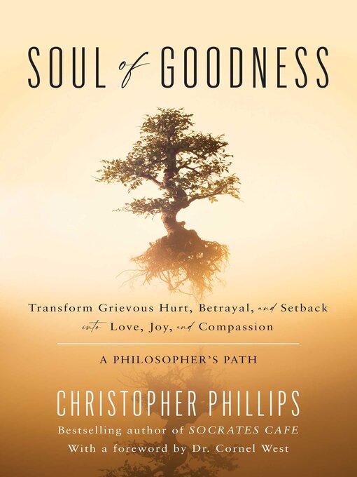 Title details for Soul of Goodness by Christopher Phillips - Wait list
